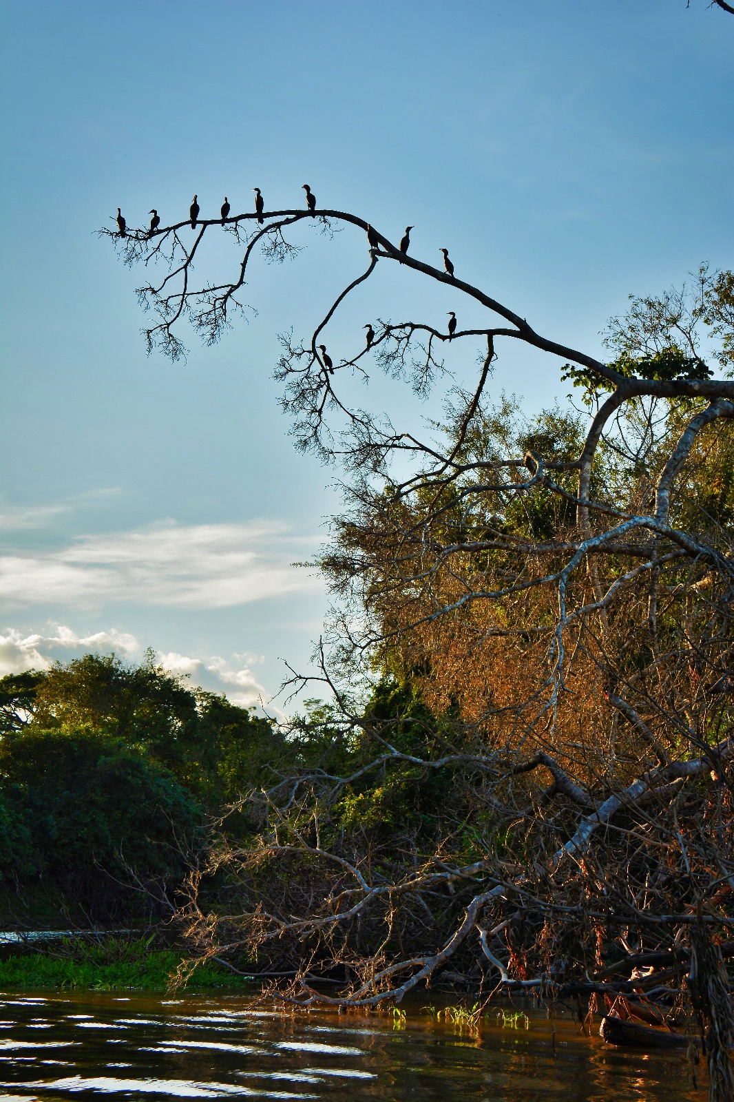 NXT Global team spirit